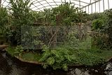 leipzig zoo-01_07_2011_gondwanaland_099